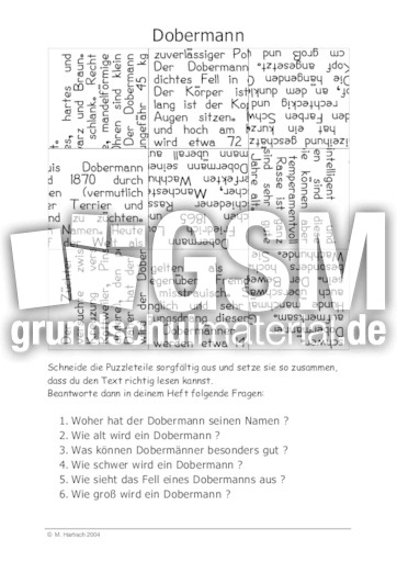 Dobermann.pdf